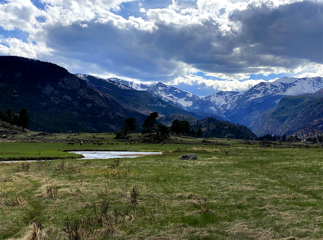 Rocky Mountain National Park - Full Day